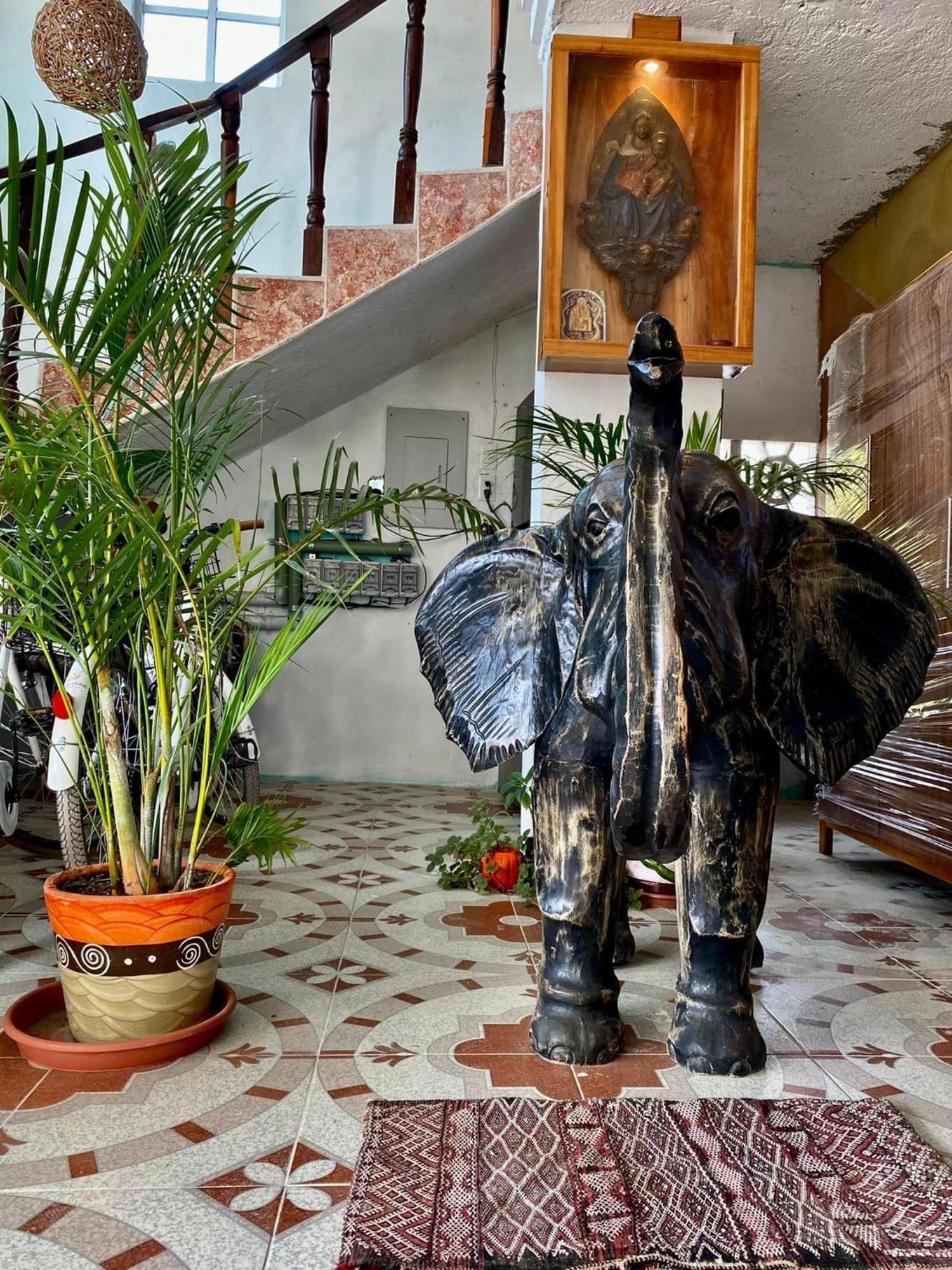 Casa Gajah Hotel Cuyo Exterior foto